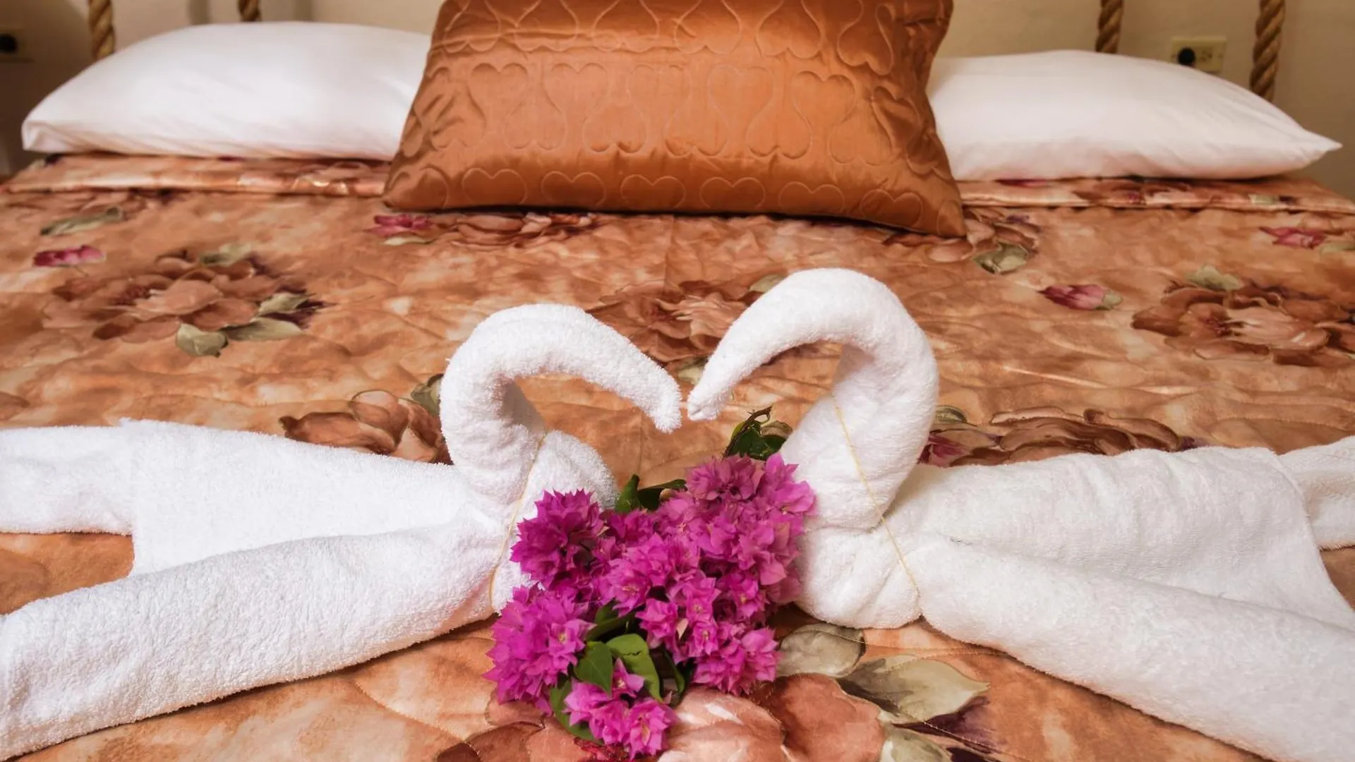 Inn Strawberry Fields Together Robins Bay