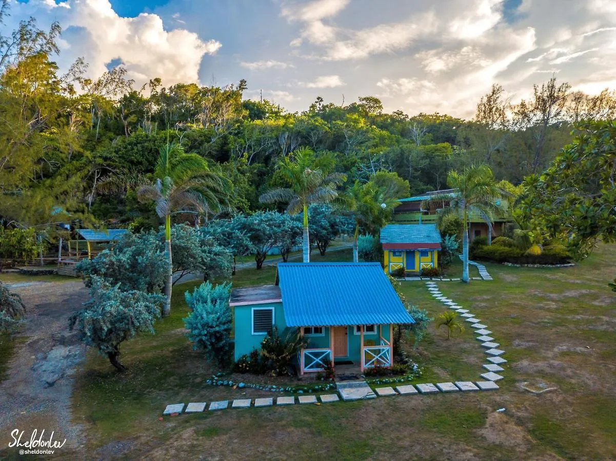 Strawberry Fields Together Robins Bay