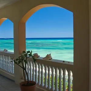 Calypso Jamaica , Montego Bay Jamaica